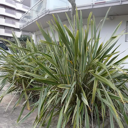 Pereire Bord De * Аркашон