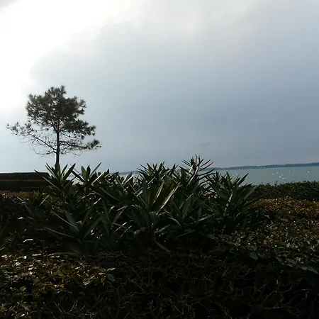 Апартаменты Pereire Bord De Аркашон