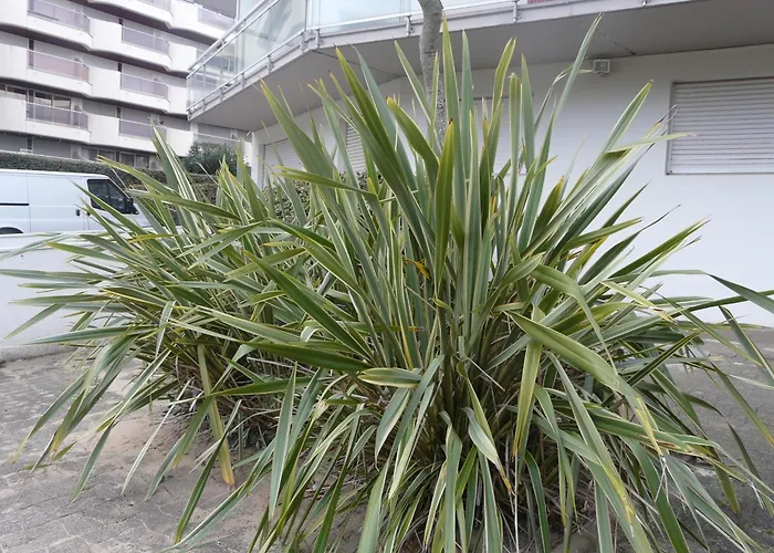 Pereire Bord De * Аркашон