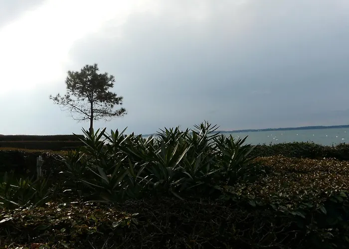 Апартаменты Pereire Bord De Аркашон